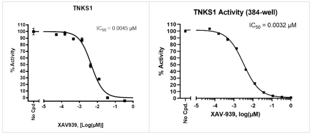 TNKS1（PARP5A）化學發光檢測試劑盒