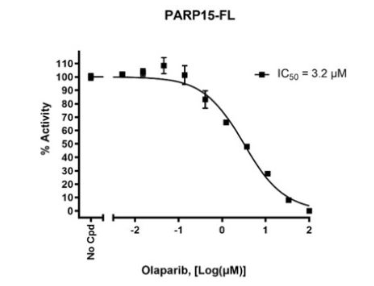 PARP15-FL化學發光檢測試劑盒
