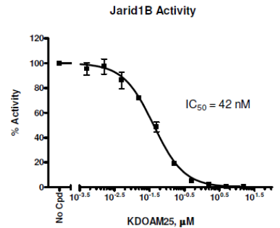 JARID1B (KDM5B) 化學發光檢測試劑盒