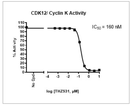 CDK12/細胞周期蛋白K激酶檢測試劑盒