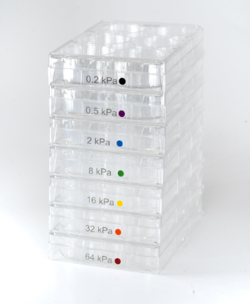 CytoSoft 6孔板，彈性模量32 kPa