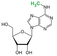EpiQuik m6A RNA.png