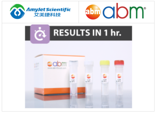 Abm-qPCR 逆轉錄病毒滴度試劑盒