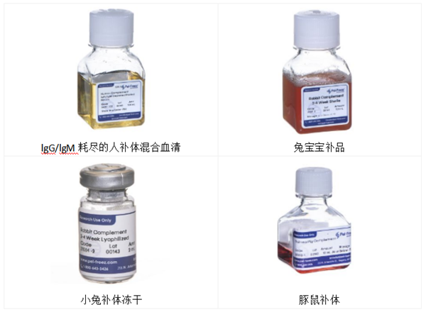吸附的成年兔補體