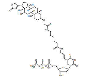 Digoxigenin-11-dUTP，地高辛/二硝基苯酚
