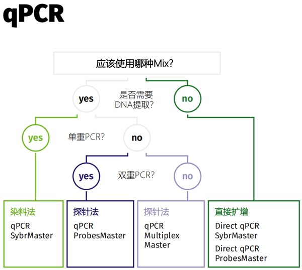 qpcr.png