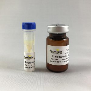 腔腸素400a