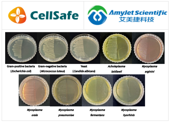 CellSafe