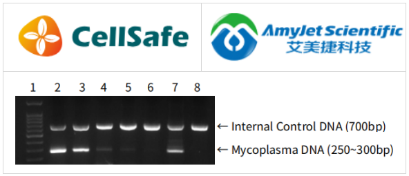 BioMycoX支原體PCR檢測試劑盒