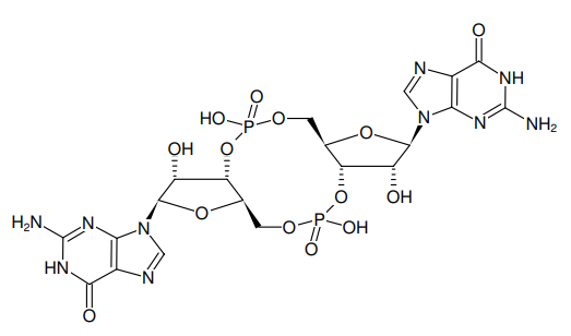 環二GMP（c-di-GMP）