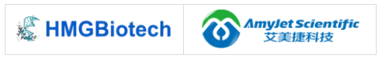 HMGBiotech-P-MHMG1質粒