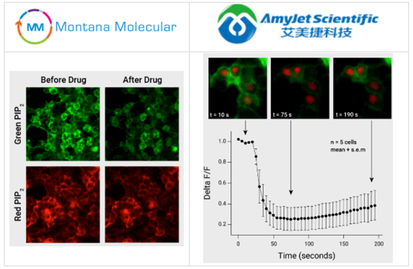 Montana Molecular-