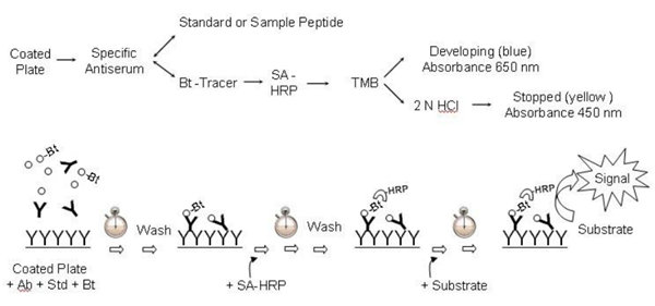 BMA Biomedicals.png