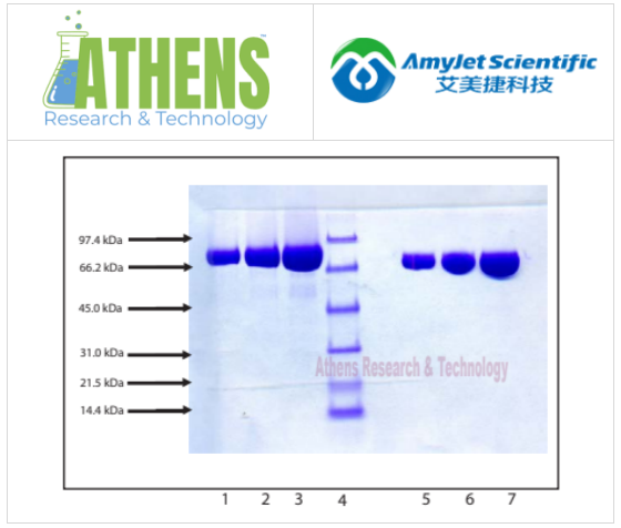 Athens Research