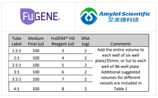 FuGENE HD試劑