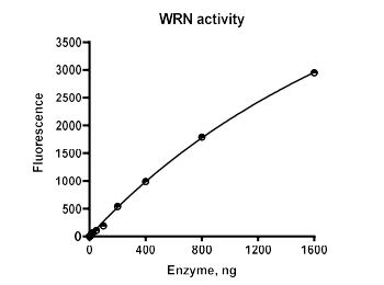 WRN解旋酶活性測定試劑盒