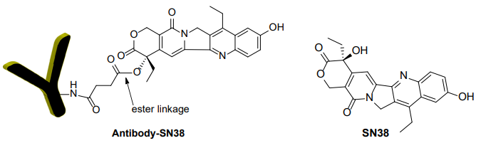 抗體-SN38 偶聯試劑盒