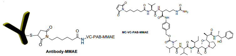 抗體 MMAE偶聯試劑盒（含 VC-PAB 連接子） 