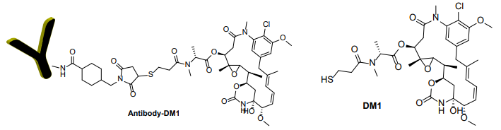 抗體-美登素（DM1）偶聯試劑盒 