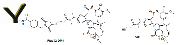 F(ab')2 -美登素（DM1）偶聯試劑盒