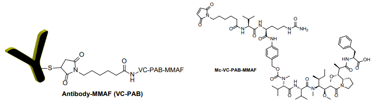 抗體MMAF 偶聯試劑盒（含 VC-PAB 連接子）
