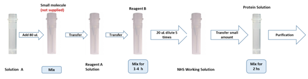 PerKit KLH小分子酸偶聯試劑盒