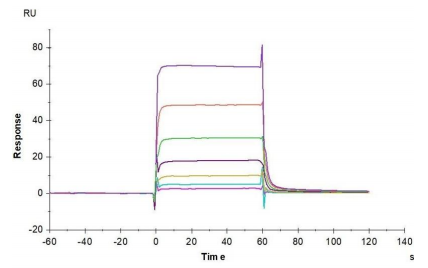 antibodies-online