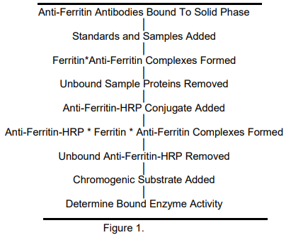 ALP-41-FERMS-E01.png
