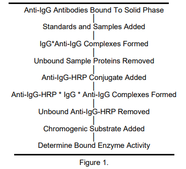 ALP-41-IGGRT-E01.png