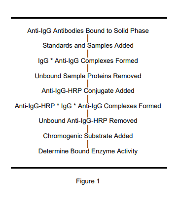 ALP-41-IGGSPMS-E01.png