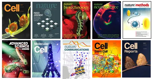 Synaptic Systems（SySy）專注于研發神經科學，細胞生物學相關抗體，以及用于免疫和癌癥研究的組織病理學抗體，表觀遺傳研究相關抗體，同時，還提供搭配的試劑盒、試劑、熒光探針等產品