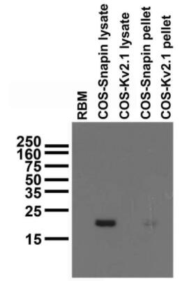 75-045.jpg