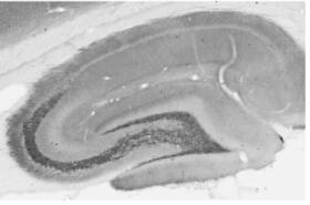 75-049.jpg