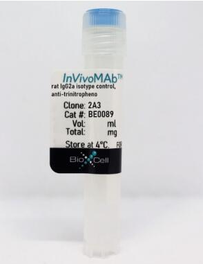 大鼠IgG2a同種型對照