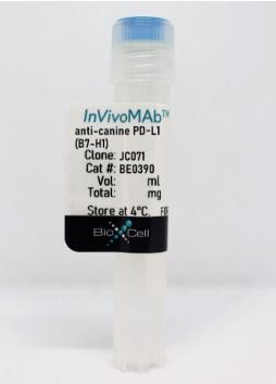 JC071單克隆抗體與犬PD-L1（程序性死亡配體1）反應