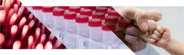 Hycult Biotech.png