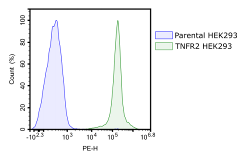 BPS-78828.png