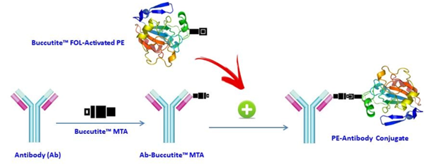 AAT Bioquest