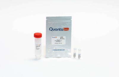 Quantabio