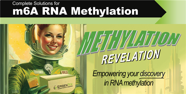 m6a-RNA.png