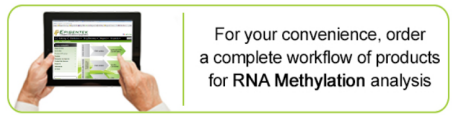 m6a-RNA-2.png