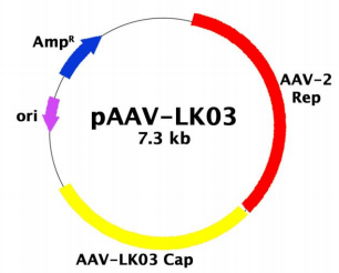 VPK-420-LK03.png