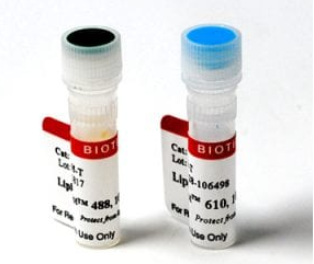 LipidSpot染料可快速染色活細胞或固定細胞中的脂滴，無需洗滌步驟。提供綠色或紅色/遠紅色熒光。