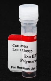 EvaEZ熒光DNA聚合酶活性測定