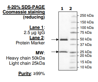 BPS-25014.jpg