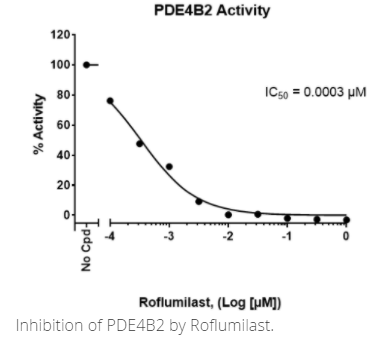 PDE4B2實驗試劑盒
