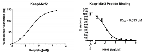 KEAP1-Nrf2抑制劑篩選檢測試劑盒