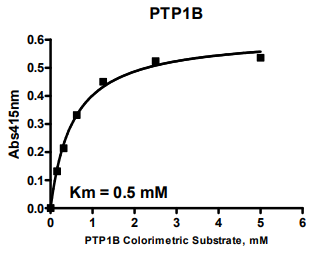 PTP1B(催化結構域)比色測定試劑盒