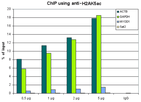 BPS-25230.jpg
