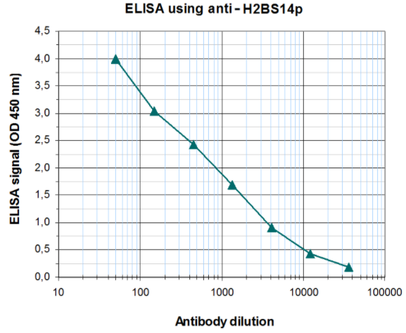 BPS-25234.jpg